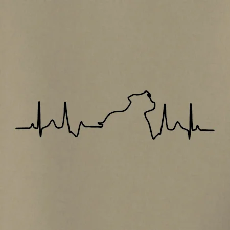 Stafordšírsky bulteriér EKG