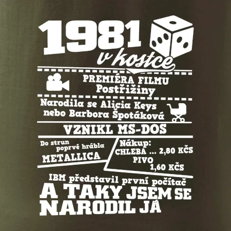 1981 v kostce