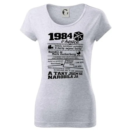 1984 v kostce
