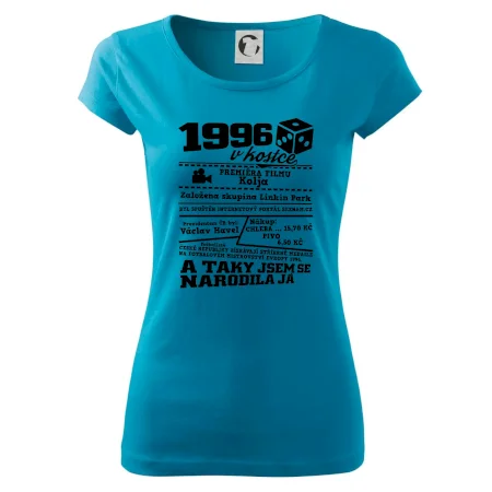 1996 v kostce