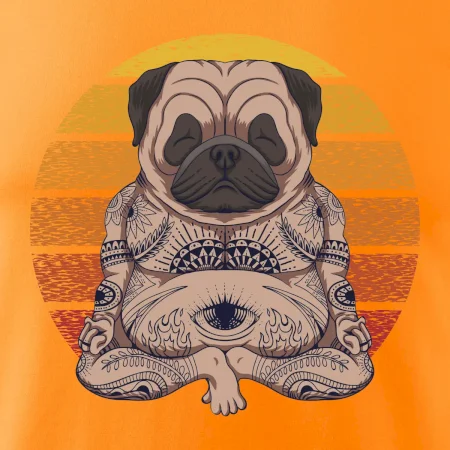 Yoga meditace - pug