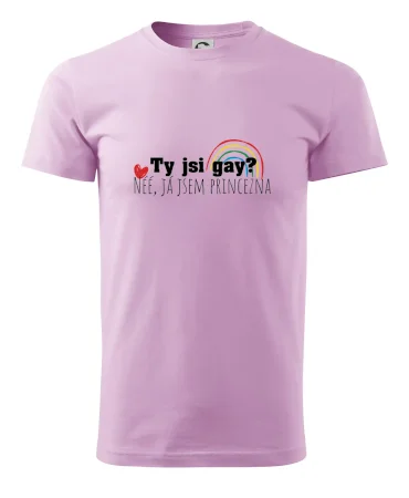 Gay princezna