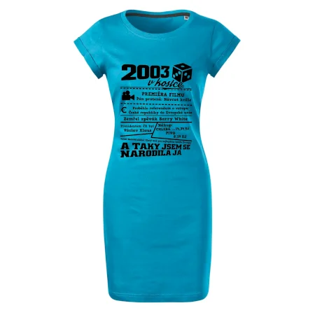 2003 v kostce