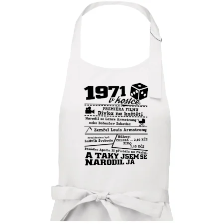 1971 v kostce
