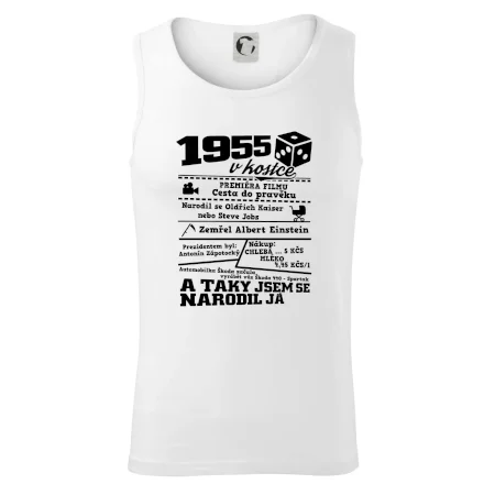 1955 v kostce
