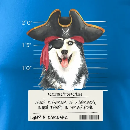 Lump a darebák husky