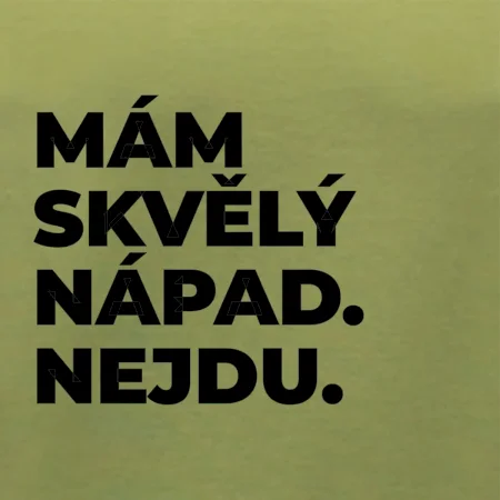 MÁM SKVĚLÝ NÁPAD. NEJDU.