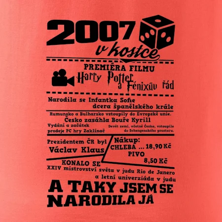 2007 v kostce