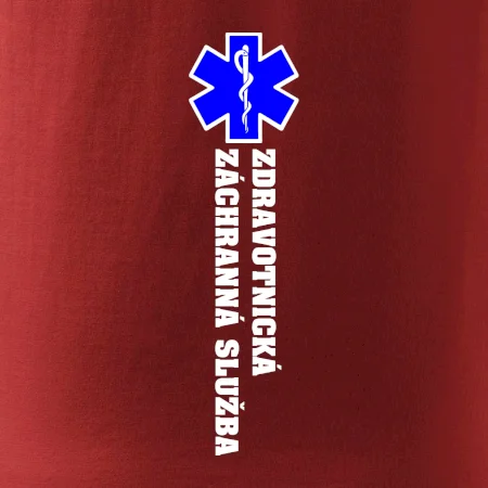 Hvězda života - zdravotnická záchranná služba