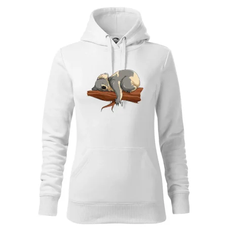 Koala na větvi