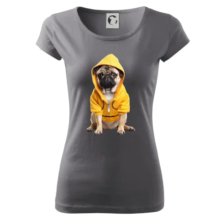 Mops v mikině