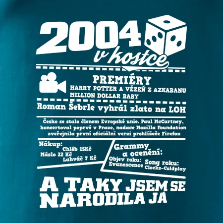 2004 v kostce