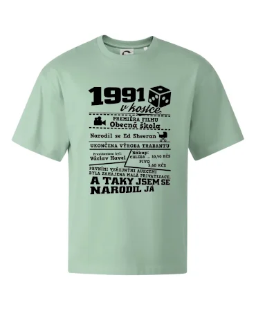 1991 v kostce