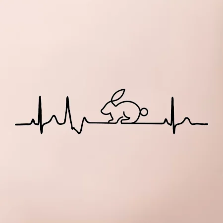 EKG králík