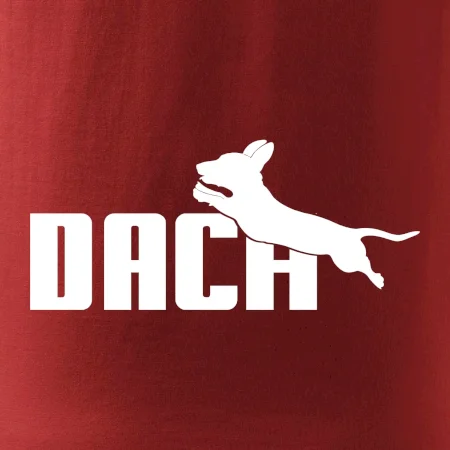 Jezevčík Dach