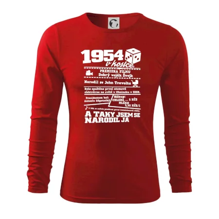 1954 v kostce