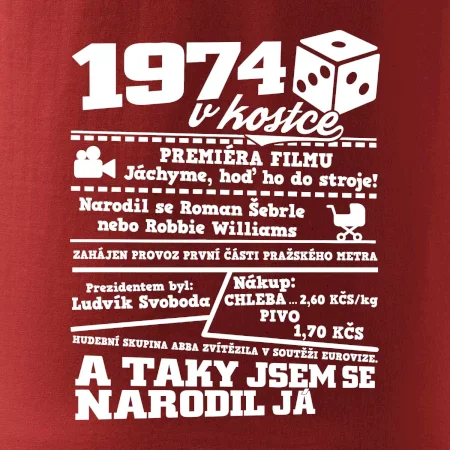 1974 v kostce