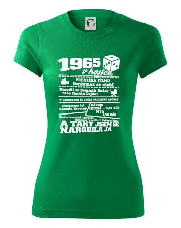 1965 v kostce