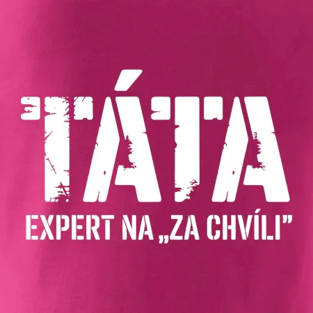 Táta - expert na za chvíli
