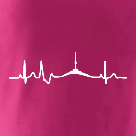 Ekg Jeseníky