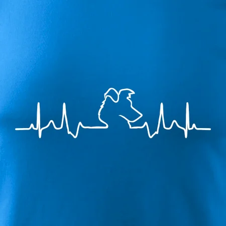 Border kolie EKG