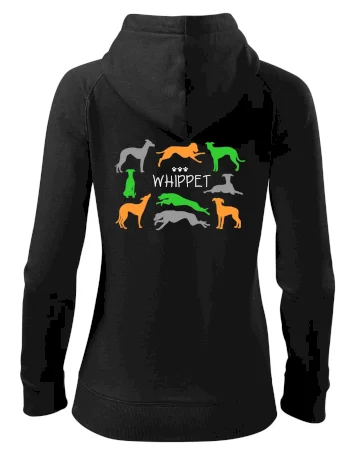 Whippet barevný