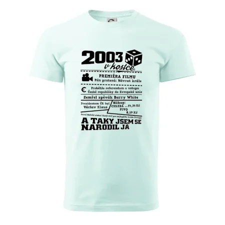 2003 v kostce