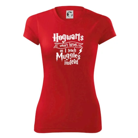 Harry - Hogwarts wasn’t hiring, so I teach Muggles instead