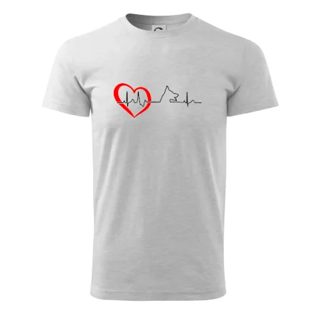Německý ovčák ekg