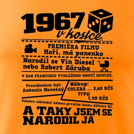 1967 v kostce