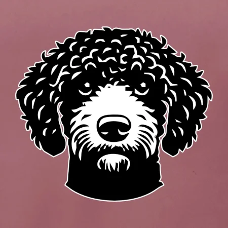 Lagotto romagnolo hlava na prsu