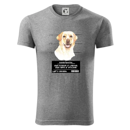 Lump a darebák labrador
