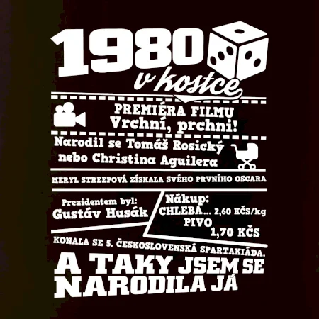 1980 v kostce