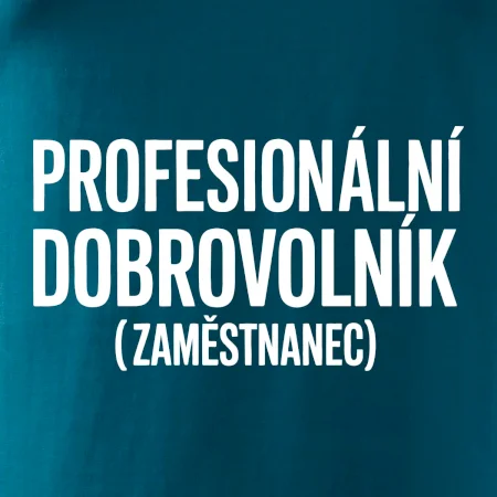 PROFESIONÁLNÍ DOBROVOLNÍK (zaměstnanec)
