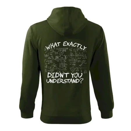 What exactly didnt you understand - physics