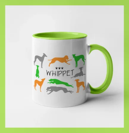 Whippet barevný