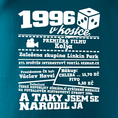 1996 v kostce