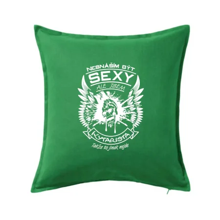 Nesnáším být sexy - kytarista