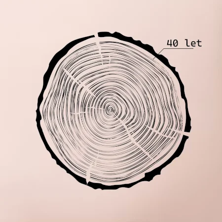 Letokruhy - 40
