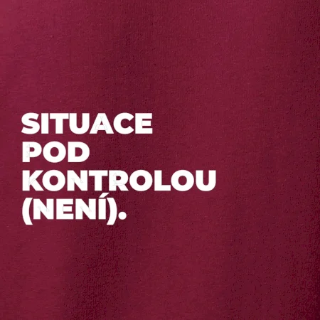 SITUACE POD KONTROLOU (NENÍ).