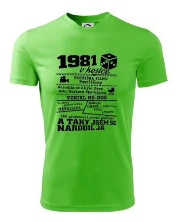 1981 v kostce