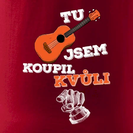 Tu kytaru jsem koupil kvůli tobě