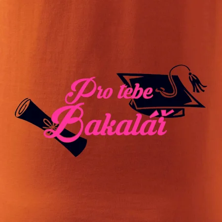 Pro tebe Bakalář