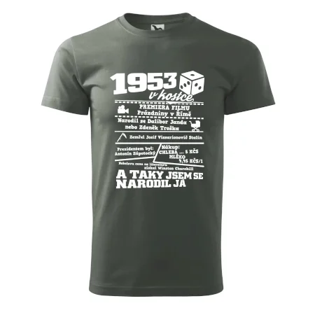 1953 v kostce