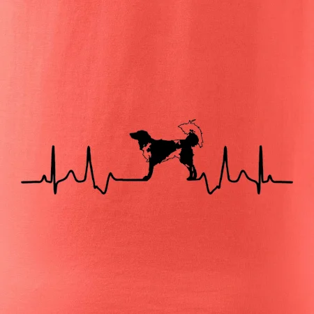 Český strakatý pes EKG