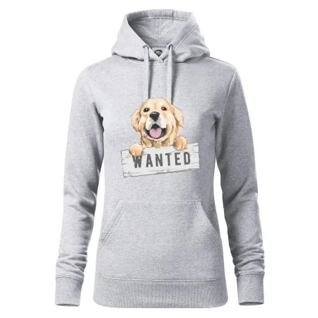 Zlatý retriever - štěně wanted