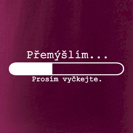 Přemýšlím