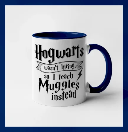 Harry - Hogwarts wasn’t hiring, so I teach Muggles instead