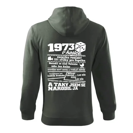 1973 v kostce
