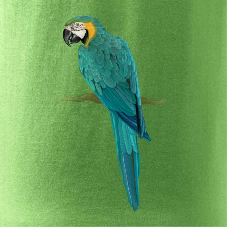 Ara
